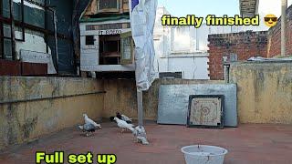 Finally finished my full pigeon cage and pigeons set up | Pr Pigeons