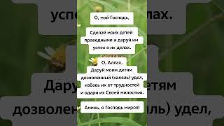 Молитвы Ислама и из Корана  #иман #ислам #коран #дуа #намаз
