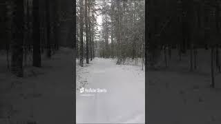 А у нас снова зимушка#shorts