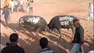 Anurag Pareek ka Jalwa(2)