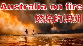 Burning Australia on camera  燃烧的澳洲 -- 澳洲森林大火惨烈视频集锦