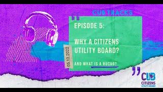 CUB Tracks Ep. 5 - Why a Citizens Utility Board?