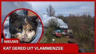 Grote brand op woonwagenkamp in Lobith, kat uit vlammenzee gered