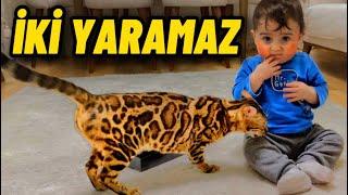 BEBEĞİM ALERJİ OLDU KEDİM YALAYARAK TEDAVİ ETMEYE ÇALIŞTI MİNTİK VE MUSTAFA