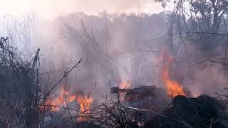 Queimadas no sul maranhense