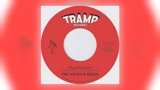 The Vicious Seeds - Happy Lobster