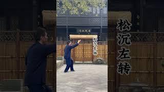 【斜行】一 #shorts #kungfu #太极拳 #martialarts #武术 #陈式太极拳