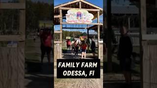 RAPRAGER FAMILY FARM ODESSA TAMPA FLORIDA #realestate #kids #homeequity #kidsactivities