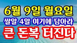 "6월 9일 월요일 대박 터진다! 쌀알 4알 여기에 담아라! 황금닭이 돈복의 황금알을 낳는다" 지금 돈복 터지는 풍수 기원 접수중! 1등 가장 많이 터지는 노원구 스파로또를 선물!