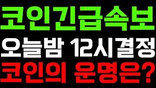 코인긴급속보 오늘밤 12시 결정 코인의 운명은? 결국 이렇게 됩니 알트코인분석 알트코인추천 비트코인 이더리움 리플 소폰 넴 마스크네트워크 토카막네트워크