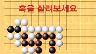 바둑 사활 - 기상천외 묘수로 흑을 살려보세요