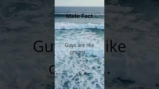 Male Fact