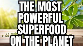 Moringa: Nature's Secret Superfood