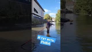 #fishing #youtubefishing #youtubeshorts