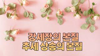 파워볼 강세장의 본질에 대해서 알아보는시간입니다 / 추세 상승의 본질이란?