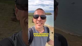 Как избавиться от вредных привычек  #психолог #психология