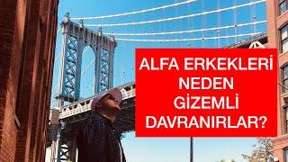 ALFA ERKEKLERİ NEDEN GİZEMLİDİR? DIŞARIDAN KİBİRLİ GÖRÜNMELERİNİN SEBEBİ NEDİR?