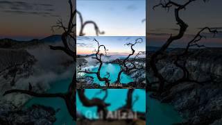 5 راز عجیب طبیعت که شما را شگفت‌زده می‌کند/پارت 4/#shorts #short #shortvideo #طبیعت #عجائب