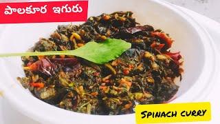 Spinach curry || palakura curry || simple spinach recipe in telugu || madhus Bommarillu