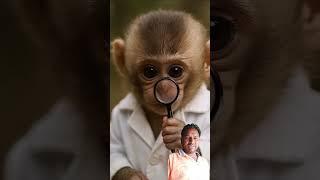 #monkey #cute #animals #babymonkey #youtubeshorts