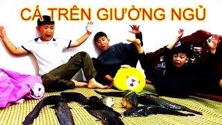 TIỂU BẢO VLOG ( TẬP 20) CÁ TRONG GIƯỜNG NGỦ