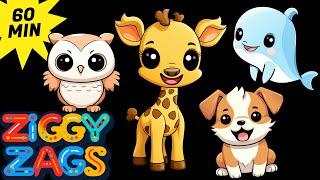 Baby Sensory  Cute Adorable Baby Animals  Fun Chill Music