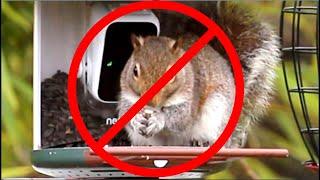 Squirrel Wars - Back and forth tug-of-war keeping the squirrels off my bird feeder.