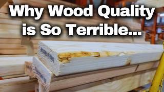 The REAL Reason Why Lumber Quality Today is So Terrible - and What You Can Do About It!!