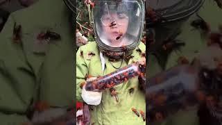 She hunts giant hornets like they’re candy! #shorts
