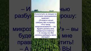 Анекдот, который поймёт каждый