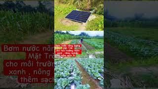Bơm nước Năng lượng Mặt Trời 420w giá 2tr4 . LH 0355.066.009 #thanhtungsolar  #solarpump