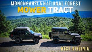 Breathtaking Views in West Virginia | Old Mine Rd & The Mower Tract | Monongahela National Forest