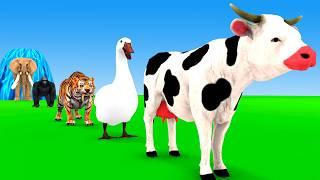 Paint & Animals Duck,Gorilla,Lion,Elephant,Cow,Sheep Fountain Crossing Transformation Animal Cartoon