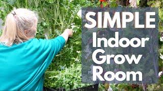 How to build a cost effective indoor Tower farm grow room