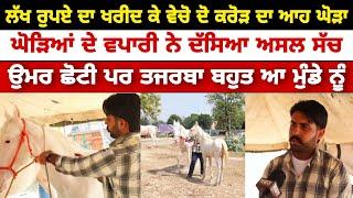 Horse || farm  || stud form || latest videos || Punjab