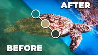 FIX THIS! 3 EASY Ways to Color Correct UNDERWATER Video in Premiere Pro