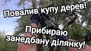 Купив хату в селі! Влаштував вирубку!) Повалив купу дерев! Прибираю занедбану ділянку! День другий!