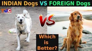 INDIAN Dogs VS FOREIGN Dogs: Which Is Better?? : The Ultimate Channel