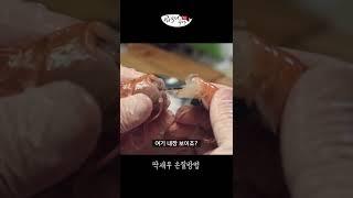 생새우회 먹을때 조심할 것(Feat.먹기 더럽다는 딱새우 손질법) #Shorts