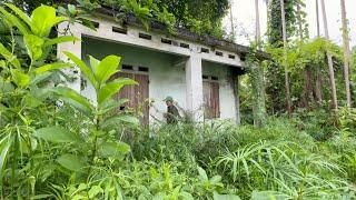 CLEAN UP AN ABANDONED HOUSE - Clear away overgrown vegetation