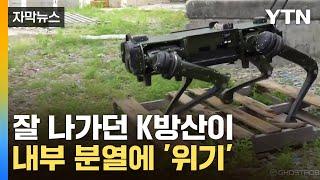 [자막뉴스] "軍 대응도 문제"…둘로 쪼개진 K-방산에 우려 / YTN