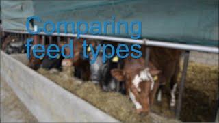 Comparing feed types