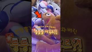 진짜 나와버린 퉁퉁퉁사후르 인형뽑기?! (feat.꿀팁있음)