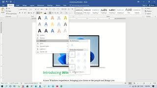 How to Apply Reflection on Text in Word