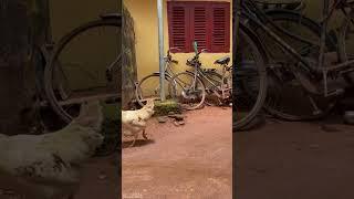 Finally visited my hometown in imo state.‍ #lifestyle #vlogs #viral #viralshorts #lifestylevlog