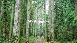 A Week of Shooting Medium Format Film in Washington