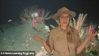 Mysteries of the Deep in California's Northern Coast