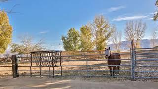 4180 Mesquite Springs Road