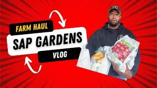 Shopping Haul for The Farm ! Tractor Supply + Lowes Vlog/ SAP Gardens VLOG