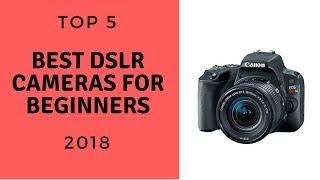 TOP 5: Best DSLR Cameras For Beginners 2018